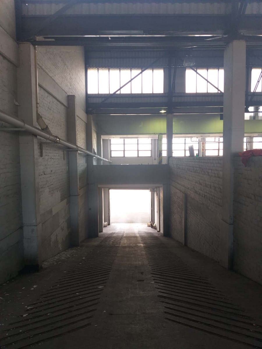 To Let Commercial Property for Rent in Paarden Eiland Western Cape